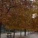 autumn-madrid-spain