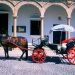 Historic Ronda Andalucia
